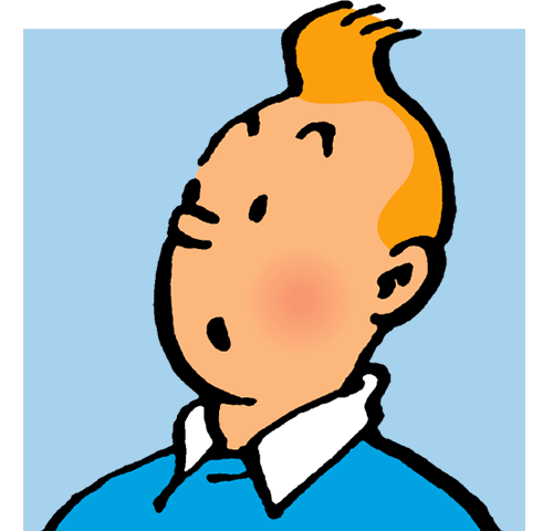 ![...](http://img.ikilote.net/img/tintin@2x.png =x100)